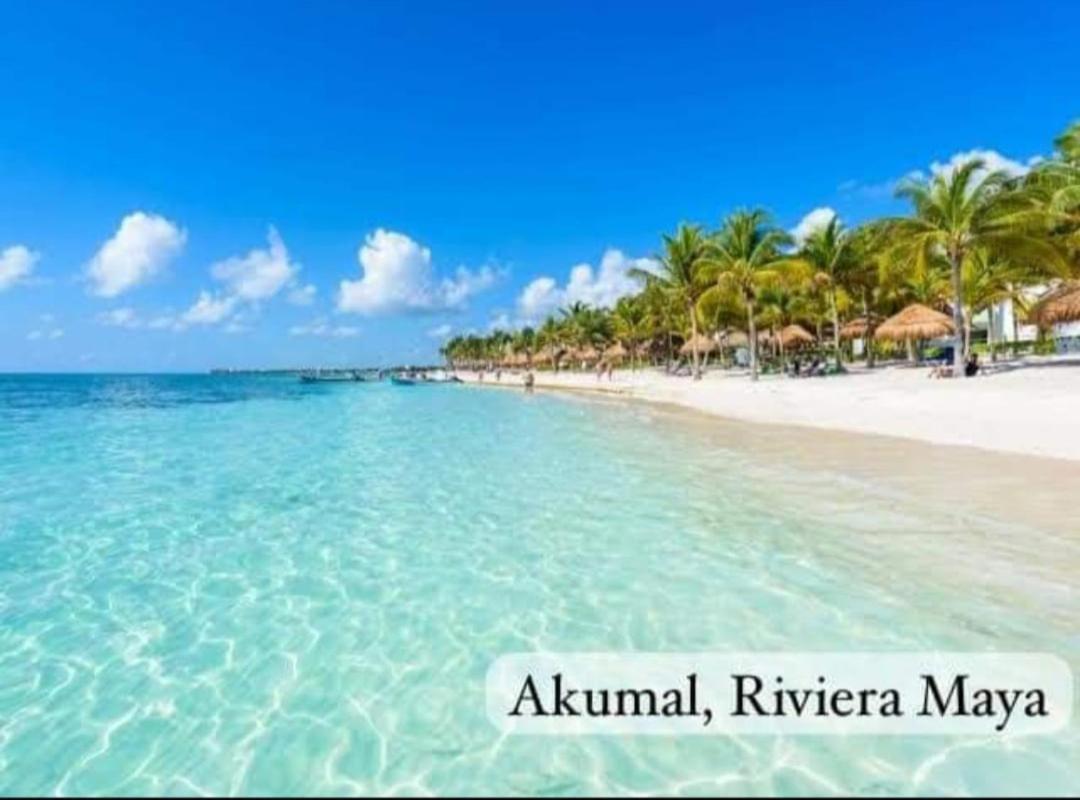 El Ultimo Maya Akumal Kültér fotó